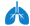 Lungs_icon